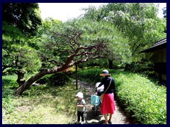 Shinjuku Gyoen 08